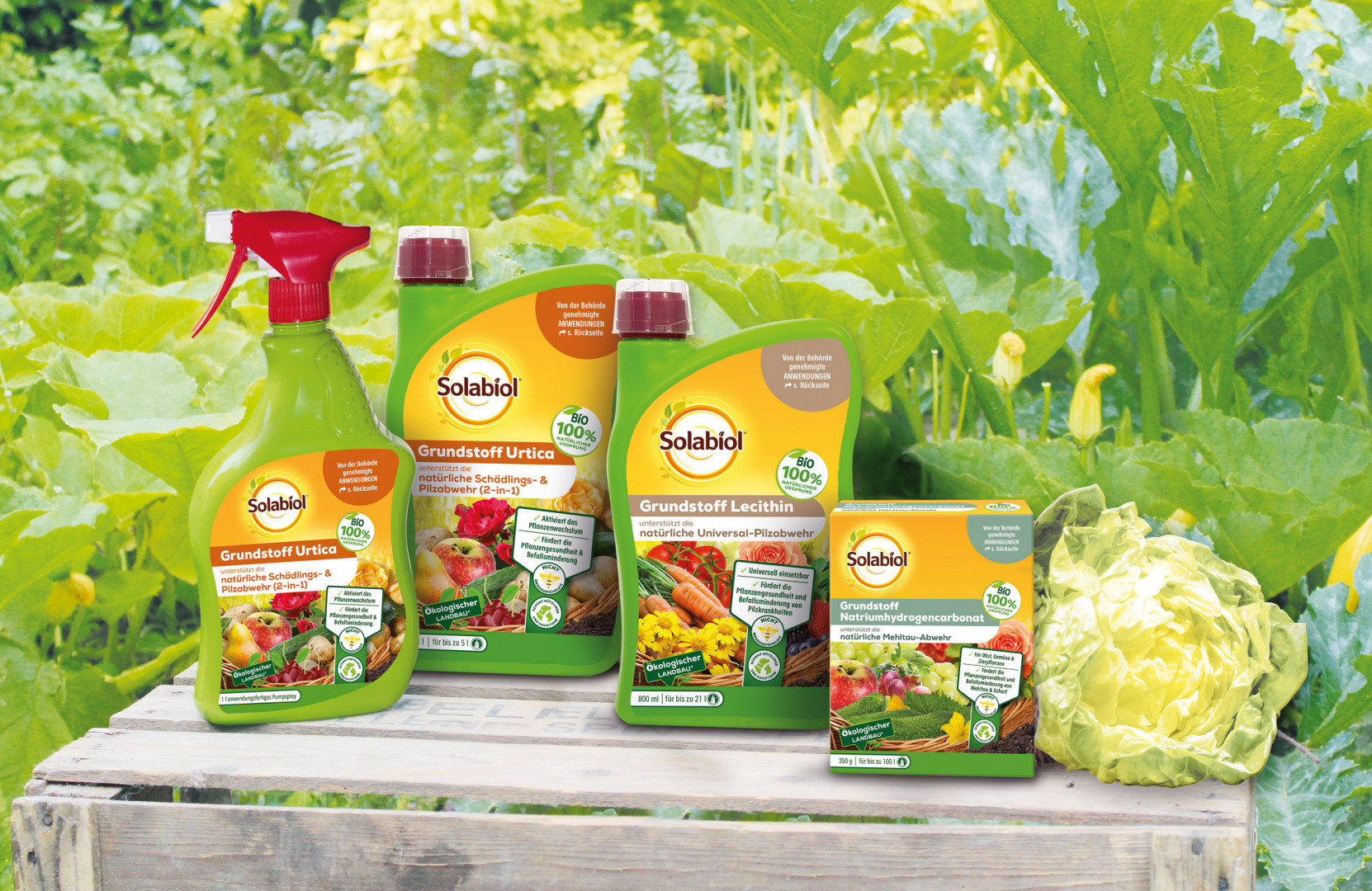 Gärtnern im Einklang mit der Natur diy online
